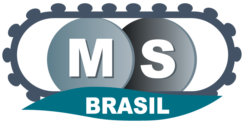 MS Brasil